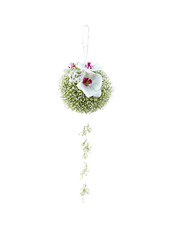 Букет невесты из орхидей и гипсофилы «Флоренция»