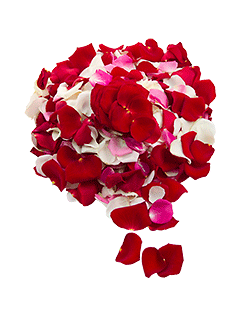 Лепестки роз «Романтический микс»
