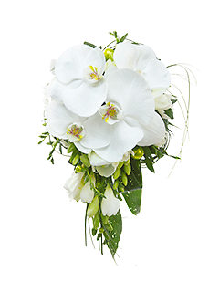 Букет невесты каскадный из орхидей и фрезий №36