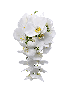 Букет невесты каскадный из орхидей и фрезий №37