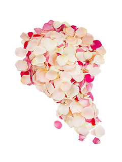 Лепестки роз «Нежный микс»