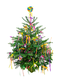 Живая украшенная елка в новогоднем оформлении №7