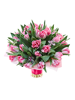 Букет из розовых тюльпанов «Кто на свете всех милее?»