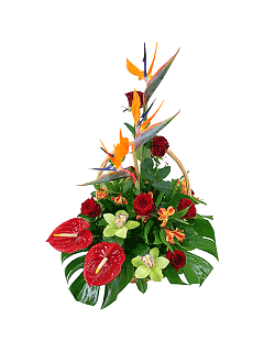 Мужская корзина из роз, орхидей и антуриумов «Матадор»