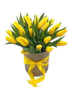 25 желтых тюльпанов в шляпной коробке