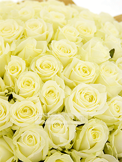 51 белая роза - купить недорого с бесплатной доставкой в Москве | Интернет-магазин цветов Flower-shop.ru
