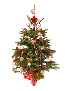 Живая украшенная елка в новогоднем оформлении №14