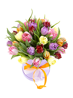 Микс из 35 разноцветных тюльпанов в шляпной коробке