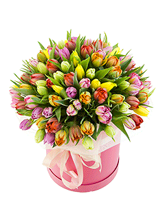 Микс из 101 разноцветного тюльпана в шляпной коробке