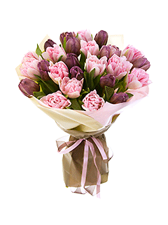 Букет из 25 розовых и коричневых тюльпанов