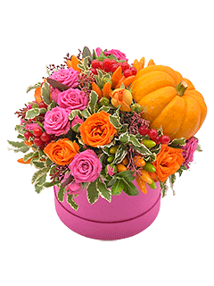 Букет из роз и тыквы в шляпной коробке «Яркий октябрь»