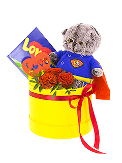 Композиция из роз с мягкой игрушкой в шляпной коробке «Супергеройская любовь»