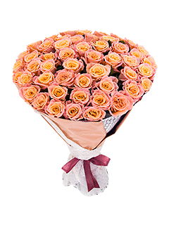 Букет из 51 кораллово-персиковой розы