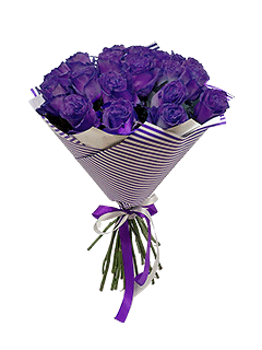 Букет из 21 фиолетовой эквадорской розы