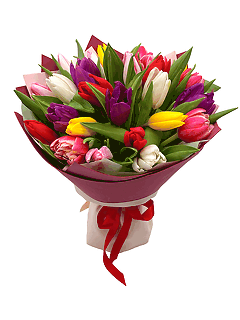 Букет из 25 разноцветных тюльпанов