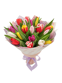 Букет из 19 разноцветных тюльпанов