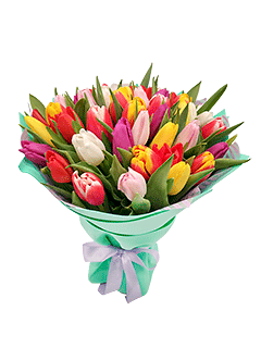 Букет из разноцветных тюльпанов «Буги-вуги»