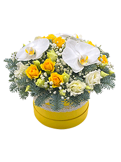 Композиция из роз и орхидей в шляпной коробке «Зимние лучики»