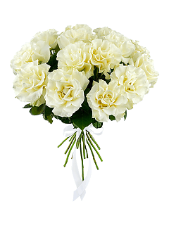 Букет из белых роз «Альбина»