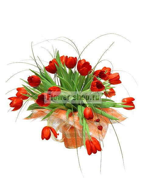 Букет из красных тюльпанов «Любовь к тебе»
