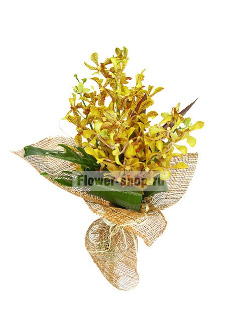 Букет из орхидей «Фламентин»