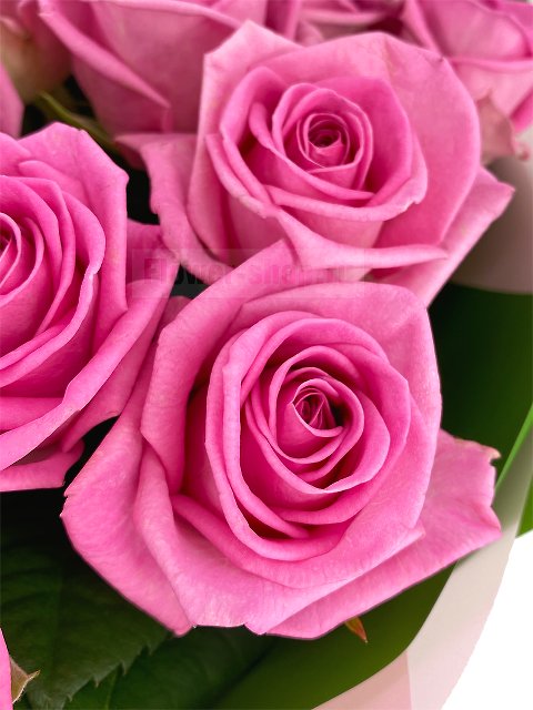 Букет из розовых роз «Волшебница»