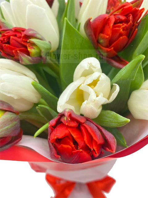 Букет из красных и белых тюльпанов «Яркая встреча»