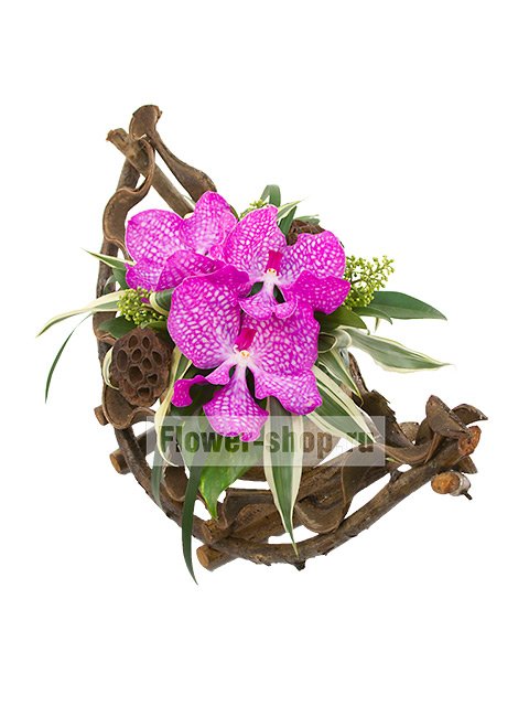 Композиция из орхидей «Тропический ливень»