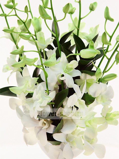 Букет невесты из орхидеи Лайт №8