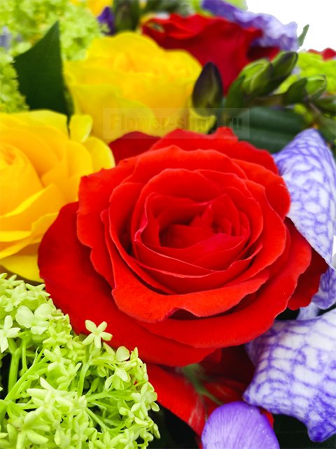 Корзина из роз и орхидей «Фейерверк»