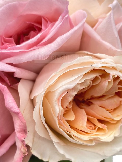 Букет невесты открытый из роз №44