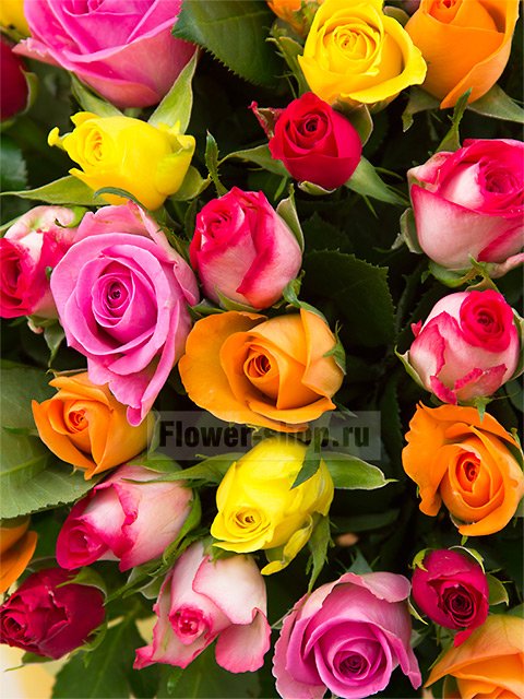 Букет из разноцветных роз Акуна Матата «Радуга эмоций»