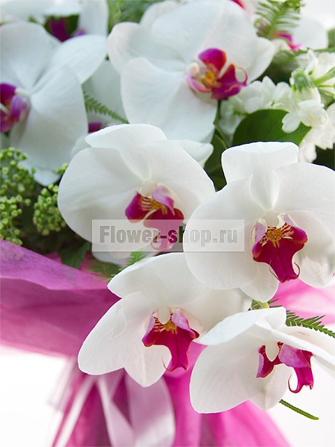Букет из орхидей и роз «Во имя любви!»