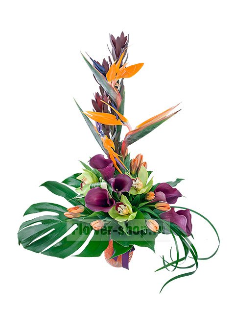 Мужской букет из стрелиций, калл и орхидей «Корсика»