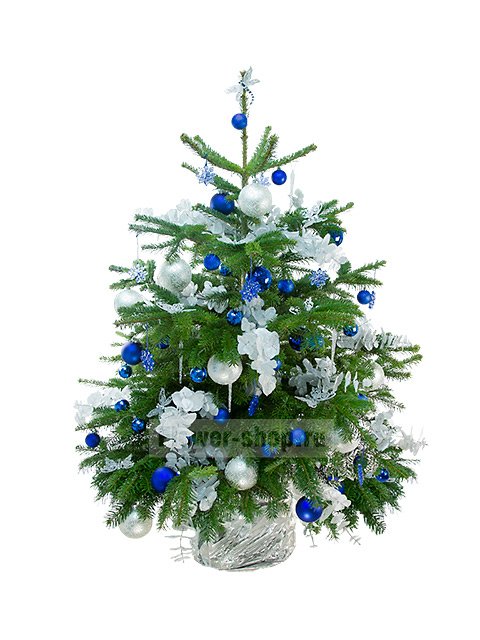 Живая украшенная елка в новогоднем оформлении №4 (класс Премиум)