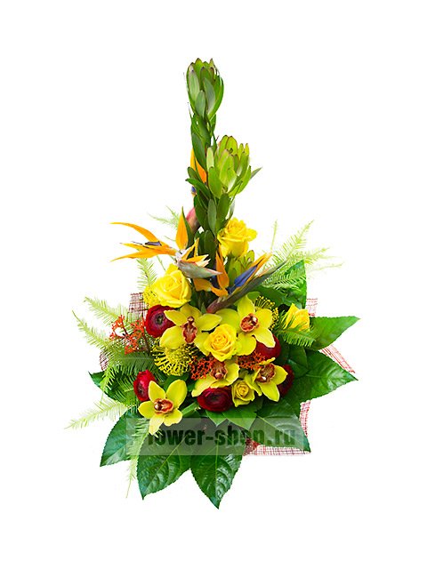Мужской букет из экзотических цветов «Бангкок»