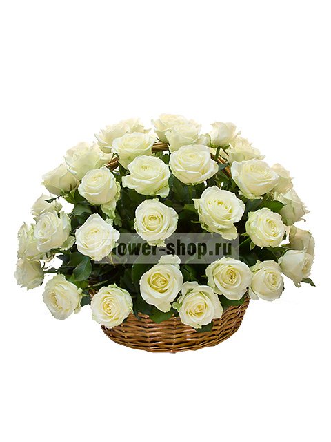 51 белая роза Премиум в корзине