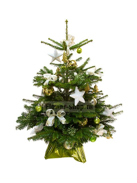 Живая наряженная елка в новогоднем оформлении №9 (класс Премиум)
