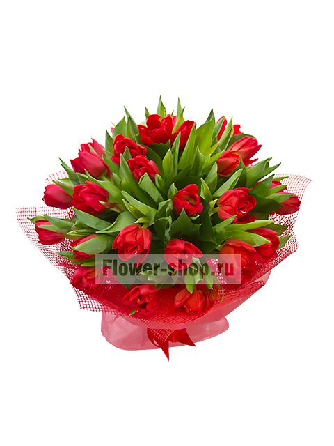 Букет из красных тюльпанов «Персидская сказка»
