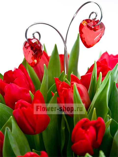 Букет из красных тюльпанов «Танго любви»