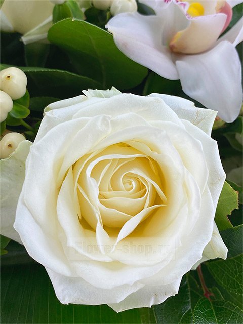Корзина из роз, орхидей и альстромерий «Небеса»