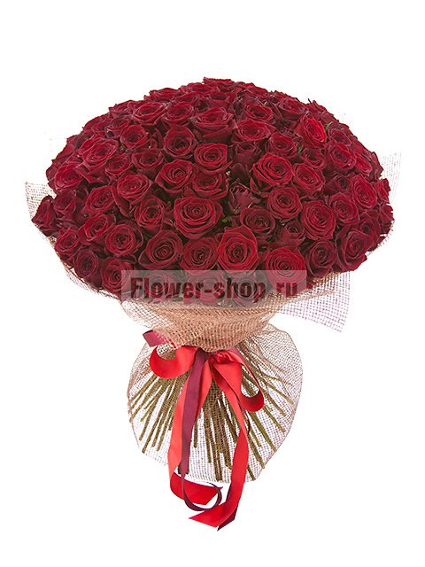 101 бордовая роза Гран При 60 см