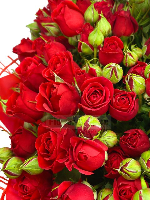 Букет из красных кустовых роз «Дела сердечные»