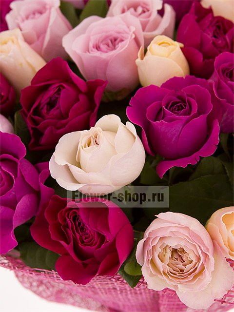 Большая коллекция роз Дэвида Остина
