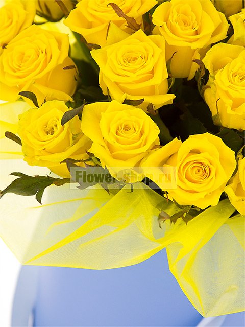 29 желтых роз в шляпной коробке
