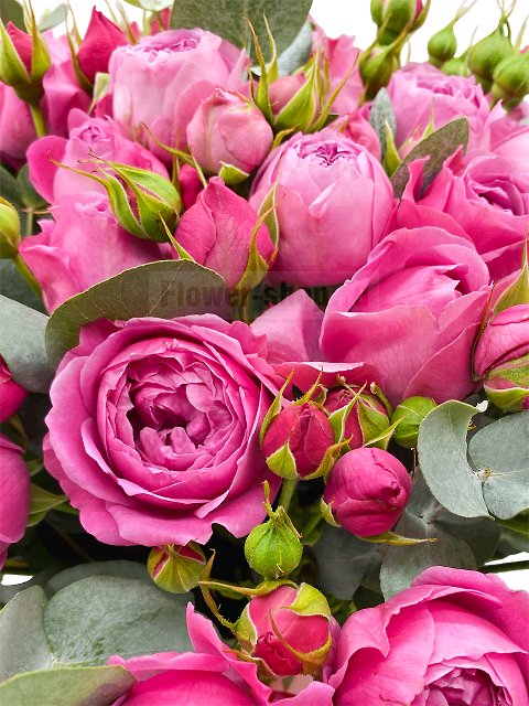 Букет из кустовых пионовидных роз «Дикая роза»
