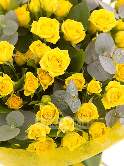 Букет из желтых кустовых роз «Лимончелло»