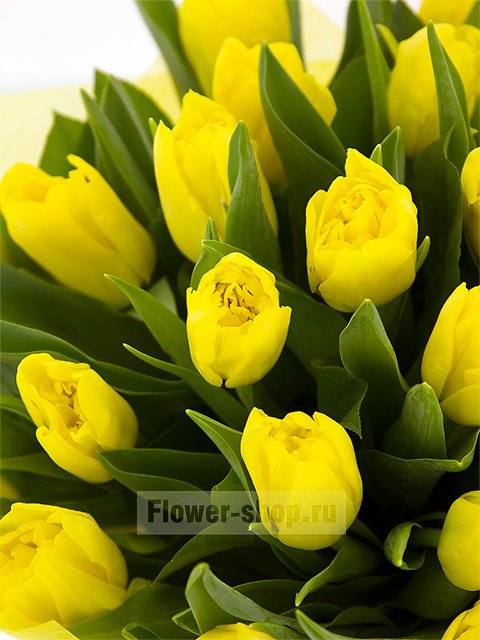Букет из желтых тюльпанов «Ярче солнца»