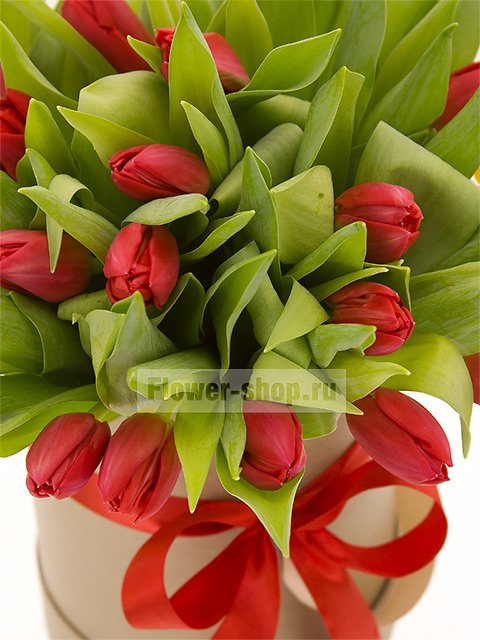 25 красных тюльпанов в шляпной коробке