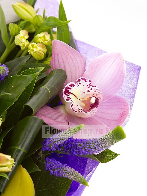 Букет из орхидей и альстромерий «Мелодия»